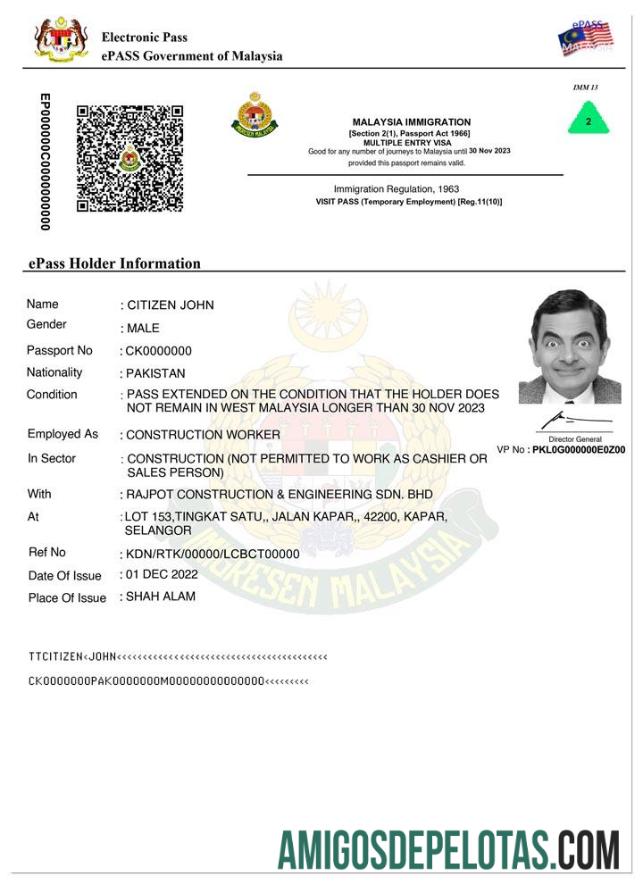 Visto de entrada MALÁSIA E Pass baixar para verificação